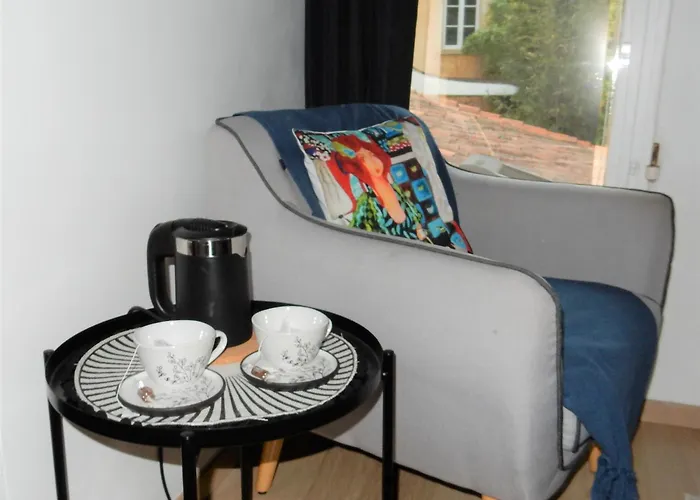 Le Logis D'hestia 3* Billom